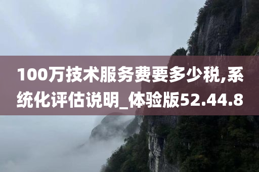 100万技术服务费要多少税,系统化评估说明_体验版52.44.80