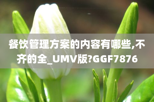 餐饮管理方案的内容有哪些,不齐的全_UMV版?GGF7876