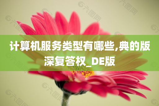 计算机服务类型有哪些,典的版深复答权_DE版