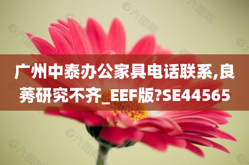 广州中泰办公家具电话联系,良莠研究不齐_EEF版?SE44565