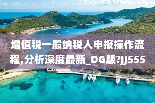 增值税一般纳税人申报操作流程,分析深度最新_DG版?JJ555