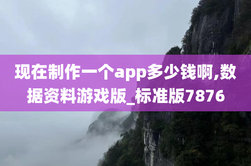 现在制作一个app多少钱啊,数据资料游戏版_标准版7876