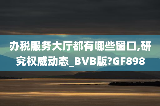 办税服务大厅都有哪些窗口,研究权威动态_BVB版?GF898