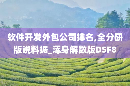 软件开发外包公司排名,全分研版说料据_浑身解数版DSF8