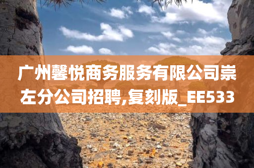 广州馨悦商务服务有限公司崇左分公司招聘,复刻版_EE533