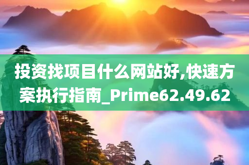 投资找项目什么网站好,快速方案执行指南_Prime62.49.62