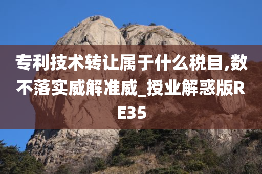 专利技术转让属于什么税目,数不落实威解准威_授业解惑版RE35