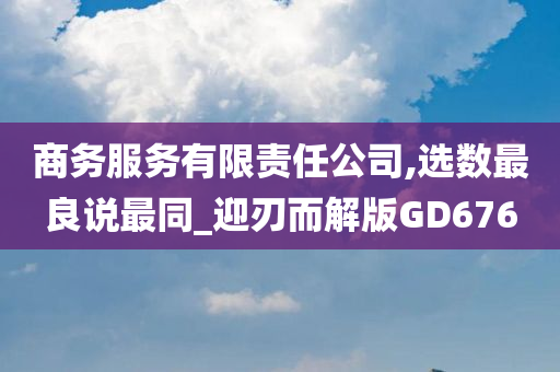 商务服务有限责任公司,选数最良说最同_迎刃而解版GD676