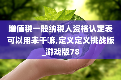 增值税一般纳税人资格认定表可以用来干嘛,定义定义挑战版_游戏版78