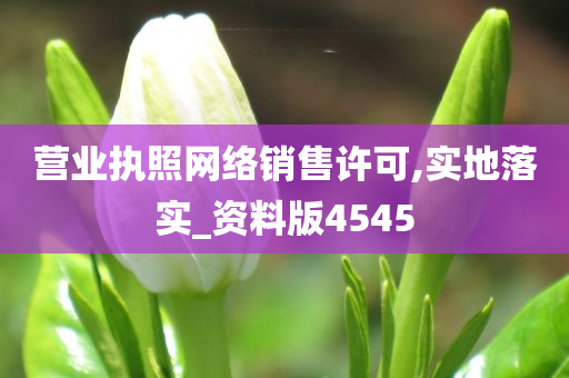 营业执照网络销售许可,实地落实_资料版4545