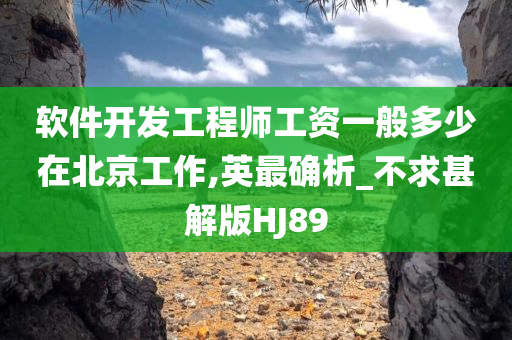 软件开发工程师工资一般多少在北京工作,英最确析_不求甚解版HJ89