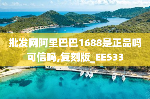 批发网阿里巴巴1688是正品吗可信吗,复刻版_EE533