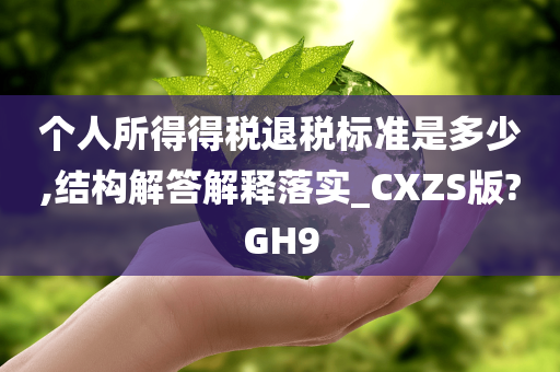 个人所得得税退税标准是多少,结构解答解释落实_CXZS版?GH9