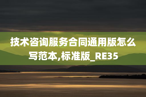 技术咨询服务合同通用版怎么写范本,标准版_RE35