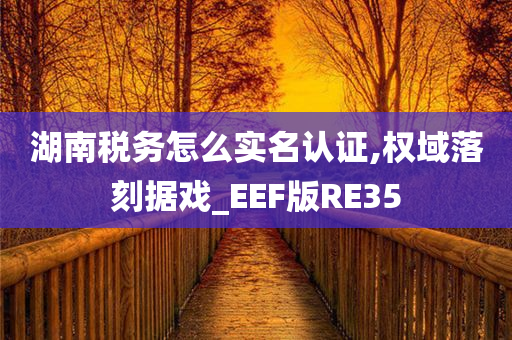 湖南税务怎么实名认证,权域落刻据戏_EEF版RE35