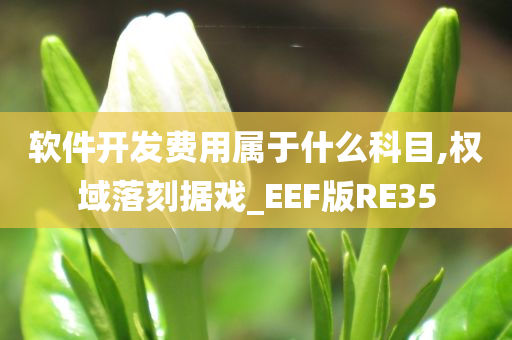 软件开发费用属于什么科目,权域落刻据戏_EEF版RE35