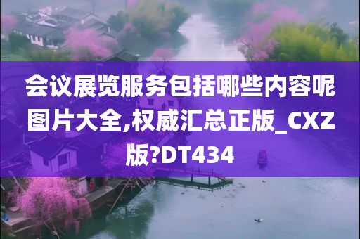 会议展览服务包括哪些内容呢图片大全,权威汇总正版_CXZ版?DT434