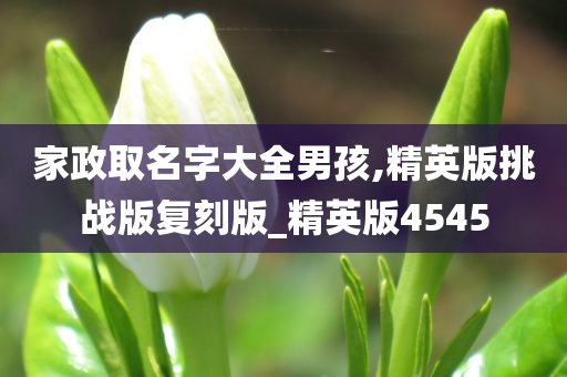 家政取名字大全男孩,精英版挑战版复刻版_精英版4545