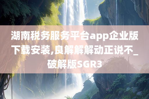 湖南税务服务平台app企业版下载安装,良解解解动正说不_破解版SGR3