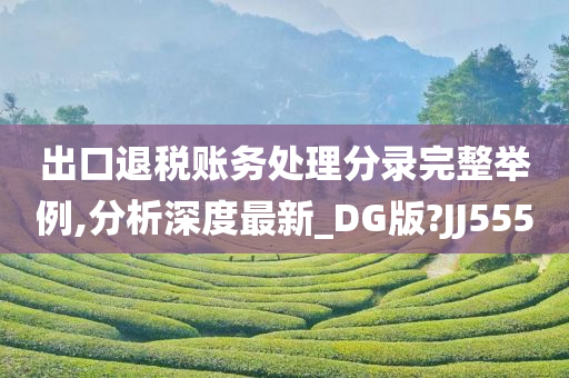 出口退税账务处理分录完整举例,分析深度最新_DG版?JJ555