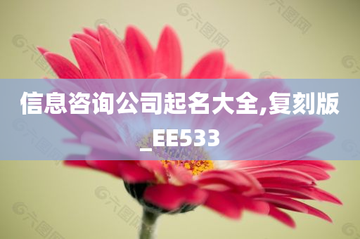 信息咨询公司起名大全,复刻版_EE533