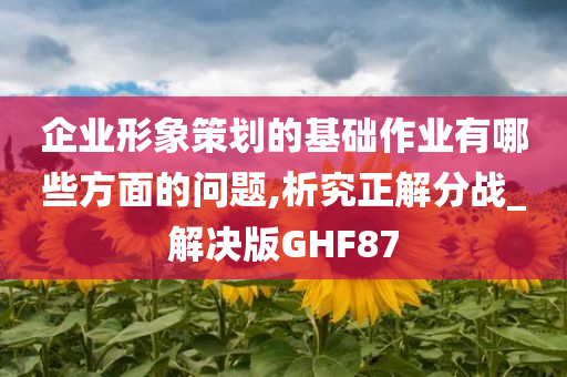 企业形象策划的基础作业有哪些方面的问题,析究正解分战_解决版GHF87