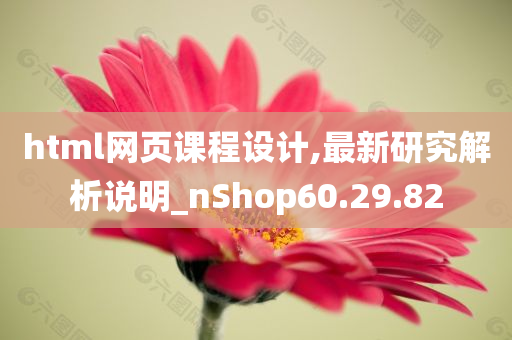 html网页课程设计,最新研究解析说明_nShop60.29.82