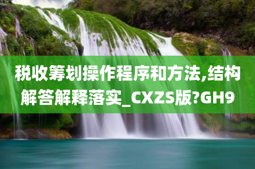 税收筹划操作程序和方法,结构解答解释落实_CXZS版?GH9