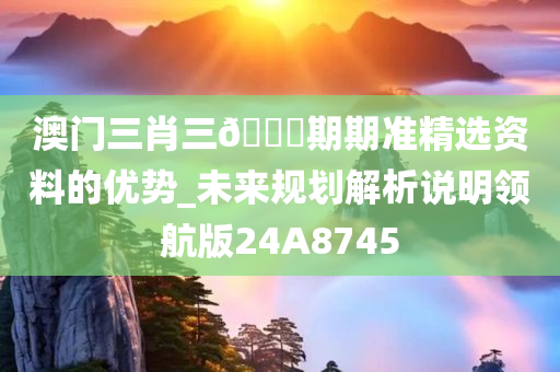 澳门三肖三🐎期期准精选资料的优势_未来规划解析说明领航版24A8745