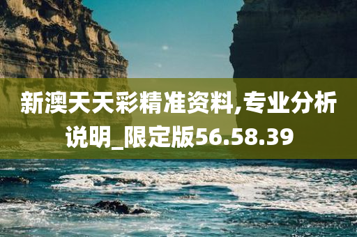 新澳天天彩精准资料,专业分析说明_限定版56.58.39