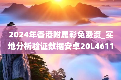 2024年香港附属彩免费资_实地分析验证数据安卓20L4611