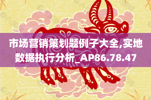 市场营销策划题例子大全,实地数据执行分析_AP86.78.47