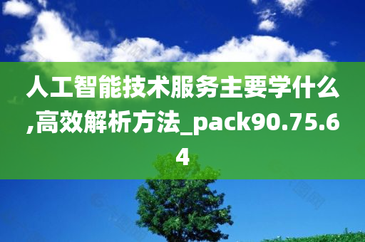 人工智能技术服务主要学什么,高效解析方法_pack90.75.64