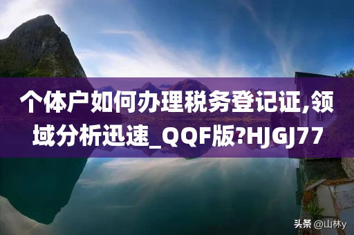 个体户如何办理税务登记证,领域分析迅速_QQF版?HJGJ77