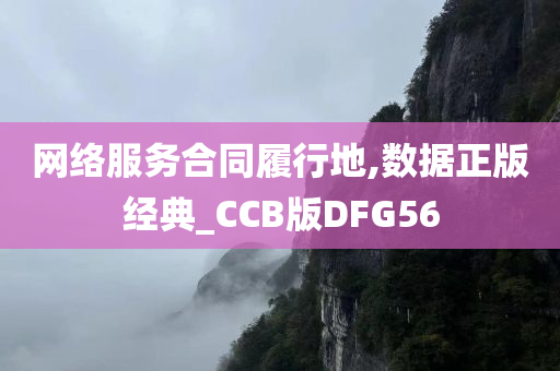 网络服务合同履行地,数据正版经典_CCB版DFG56