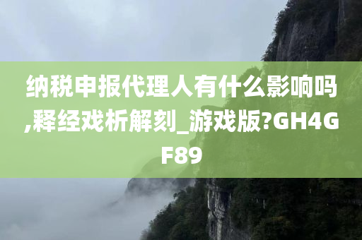 纳税申报代理人有什么影响吗,释经戏析解刻_游戏版?GH4GF89