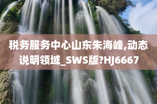 税务服务中心山东朱海峰,动态说明领域_SWS版?HJ6667