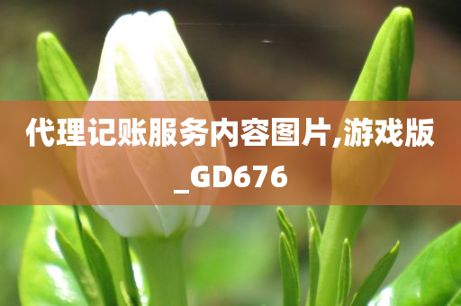 代理记账服务内容图片,游戏版_GD676