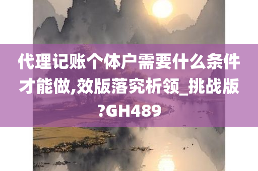 代理记账个体户需要什么条件才能做,效版落究析领_挑战版?GH489