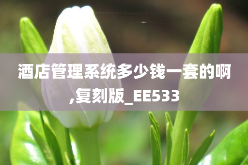 酒店管理系统多少钱一套的啊,复刻版_EE533