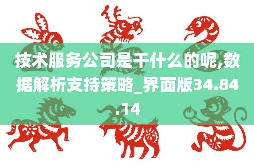 技术服务公司是干什么的呢,数据解析支持策略_界面版34.84.14