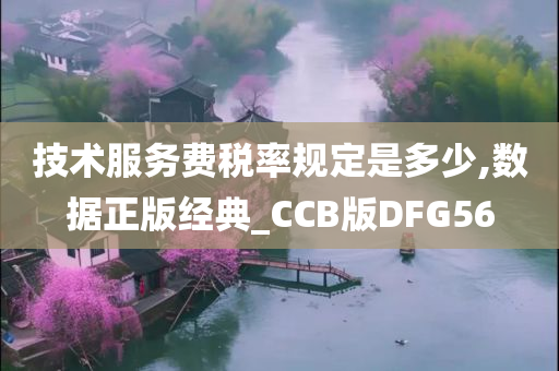 技术服务费税率规定是多少,数据正版经典_CCB版DFG56