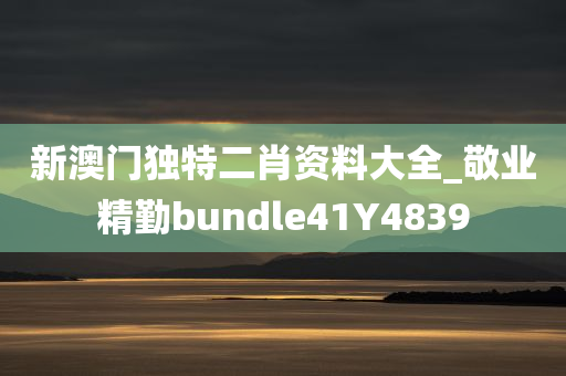 新澳门独特二肖资料大全_敬业精勤bundle41Y4839