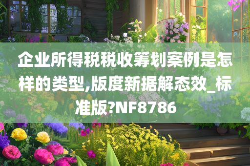 企业所得税税收筹划案例是怎样的类型,版度新据解态效_标准版?NF8786