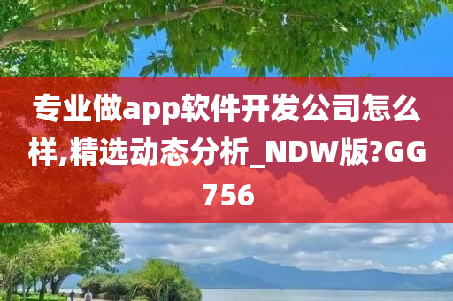 专业做app软件开发公司怎么样,精选动态分析_NDW版?GG756