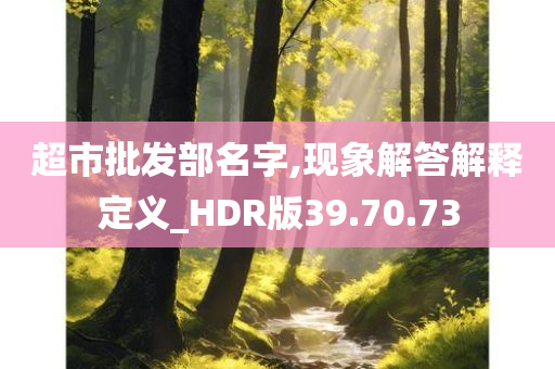 超市批发部名字,现象解答解释定义_HDR版39.70.73