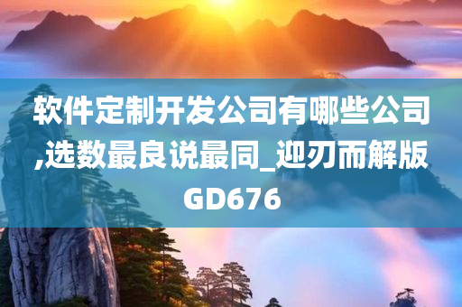 软件定制开发公司有哪些公司,选数最良说最同_迎刃而解版GD676