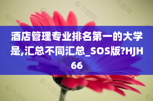 酒店管理专业排名第一的大学是,汇总不同汇总_SOS版?HJH66