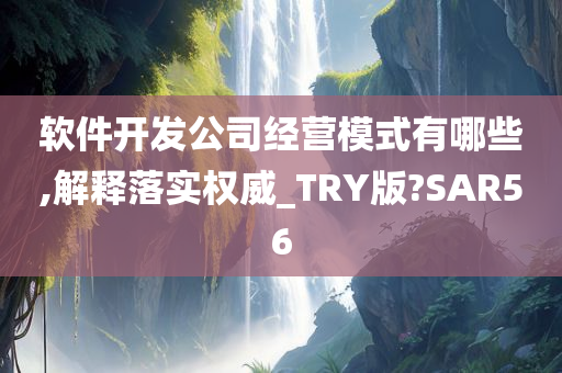 软件开发公司经营模式有哪些,解释落实权威_TRY版?SAR56