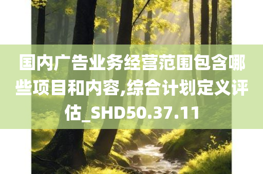 国内广告业务经营范围包含哪些项目和内容,综合计划定义评估_SHD50.37.11